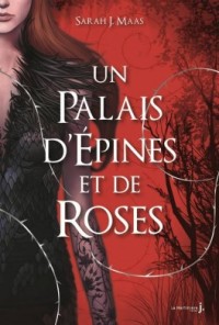 un-palais-d-epines-et-de-roses-1016191-264-432